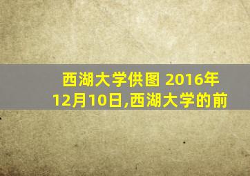 西湖大学供图 2016年12月10日,西湖大学的前